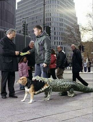 alligator-dog-costume